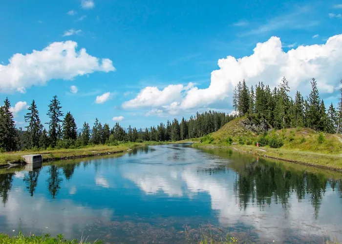 Lejlighed Neurauter-1 By Interhome Fügen